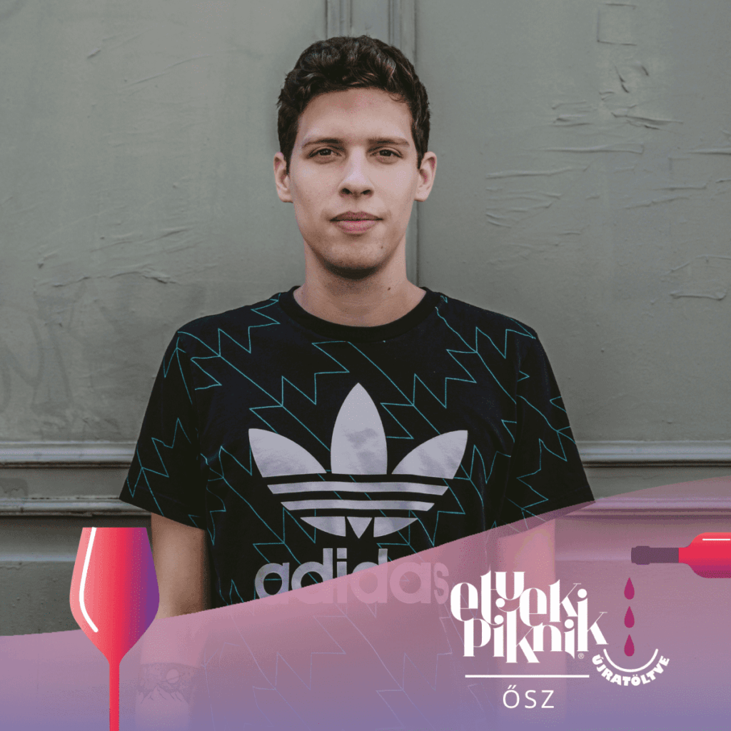 Dj Taptune(Piknik színpad)