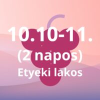 ETYEKI LAKOS -  2 NAPOS