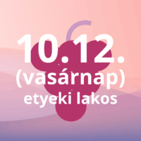 ETYEKI LAKOS - 10.12. VASÁRNAP