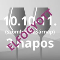 KÉTNAPOS BÉRLET - 1. kör - ELFOGYOTT